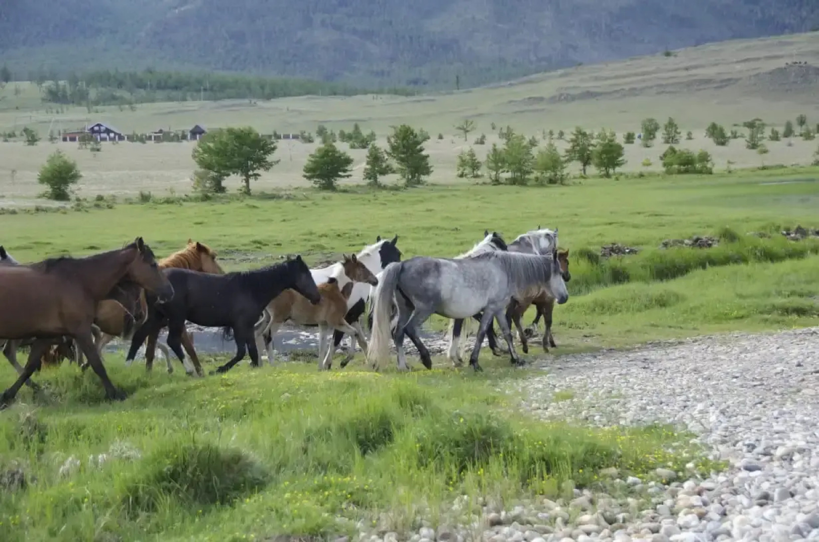 Гостевой дом Мухтуя