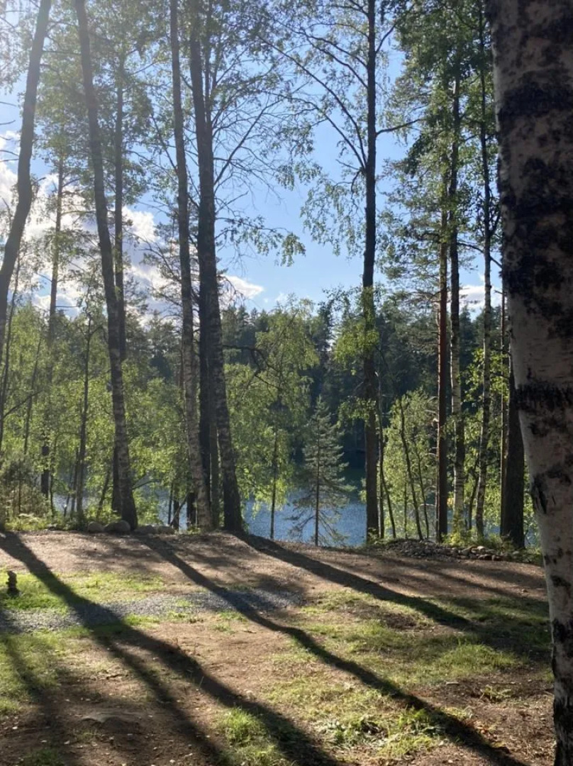 Апартаменты А-frаmе дом