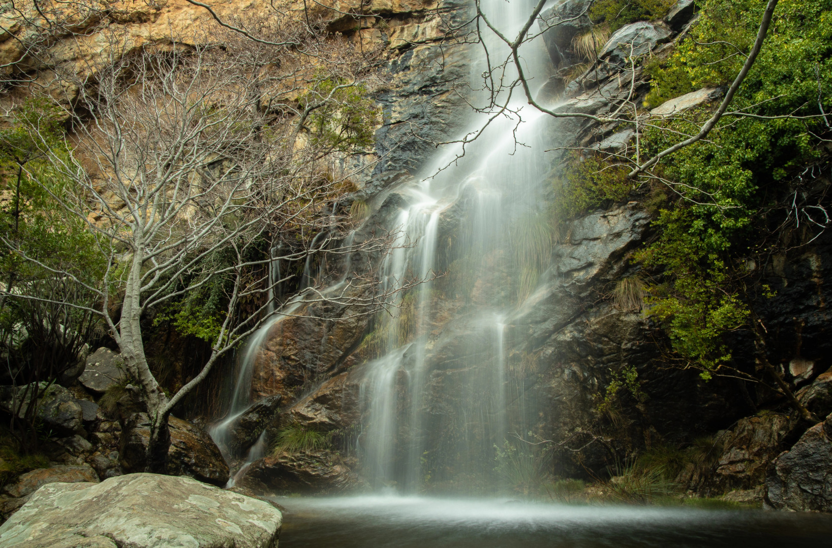 Отель Villa Flora