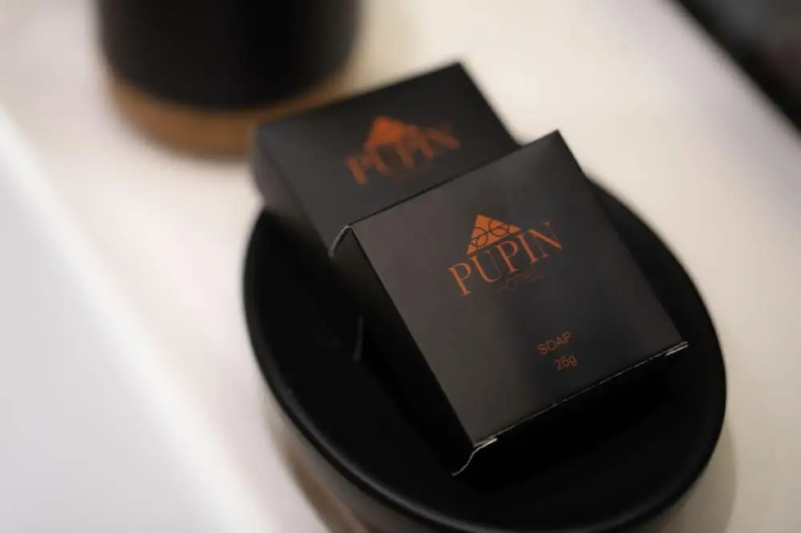 Отель Pupin
