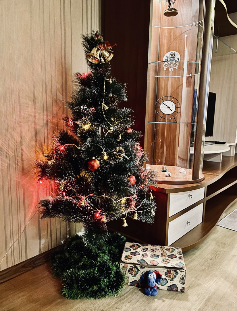 Квартира на Некрасова с Видом на Музей