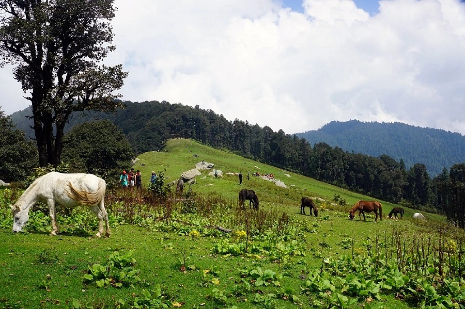 Отель Agyaat Vaas`