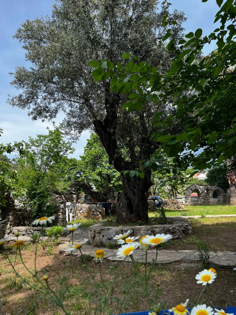 New Golden Gate Hotel