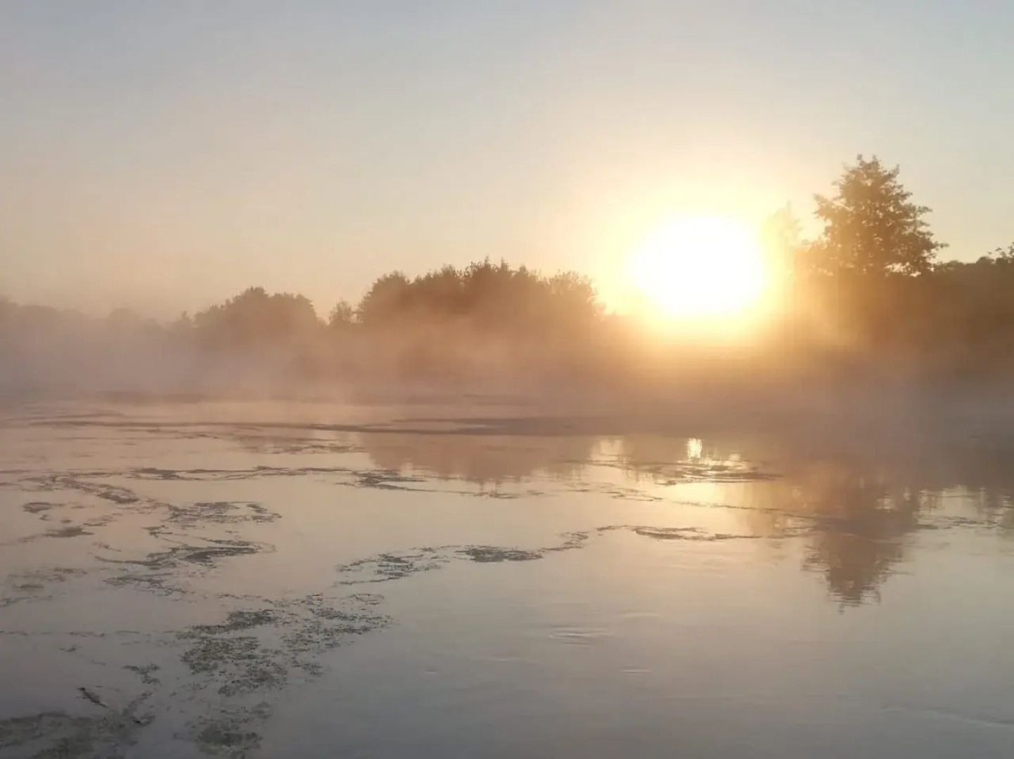 Жилое помещение Dao View Ясные просторы