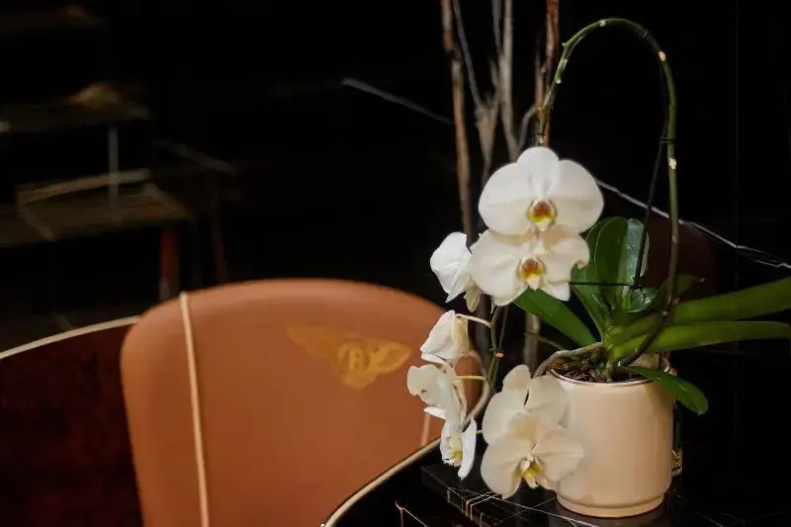 Отель Number One Oxford Street Hotel & Suites