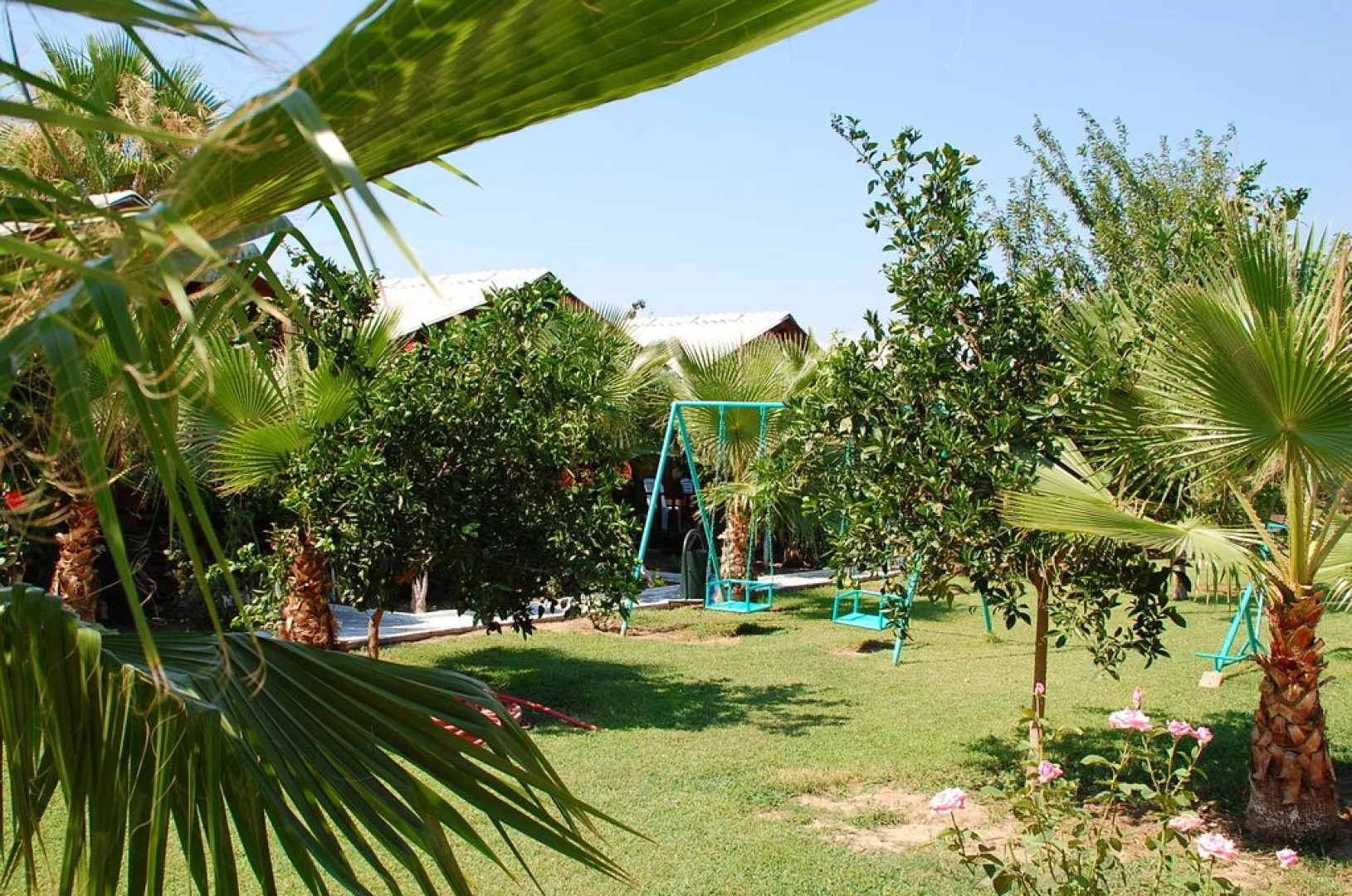 Отель Dream Park Bungalow