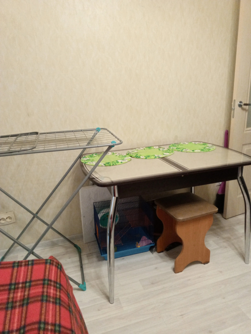 Квартира Санкт-Петербург Пушкин Экспофорум Пулковское Индивидуальная Квартира