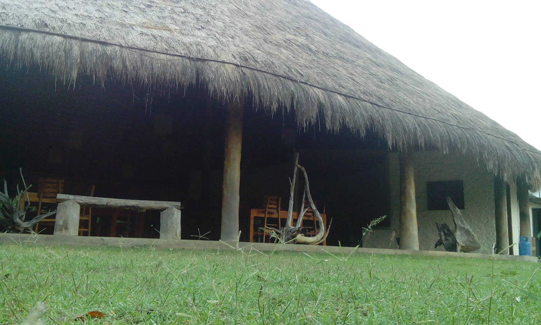 Отель Giman Free Beach Resort