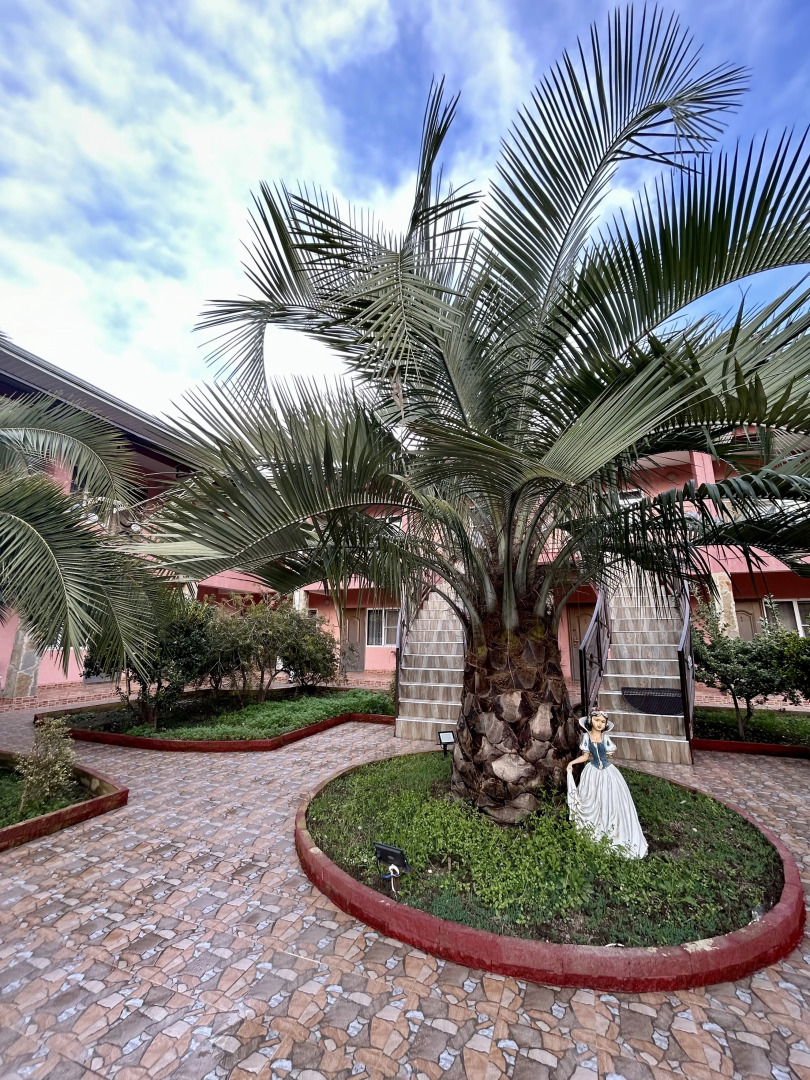 Гостевой дом Розовый Фламинго