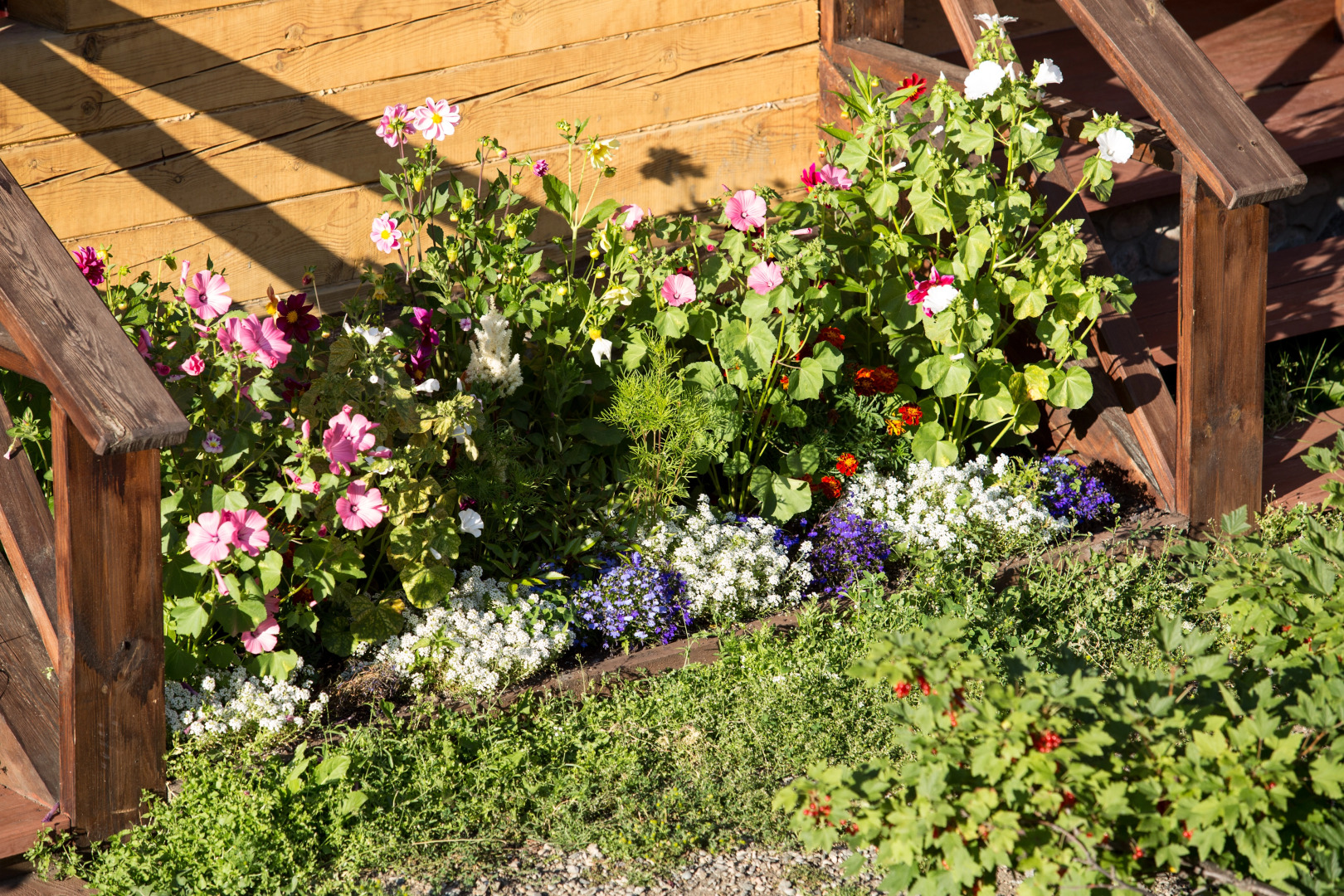 Отель Даурия