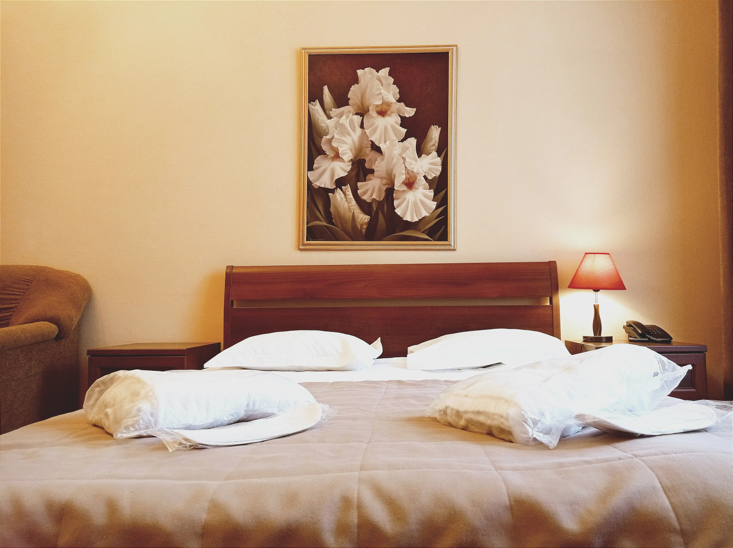 Меблированные комнаты  Соната у Эрмитажа