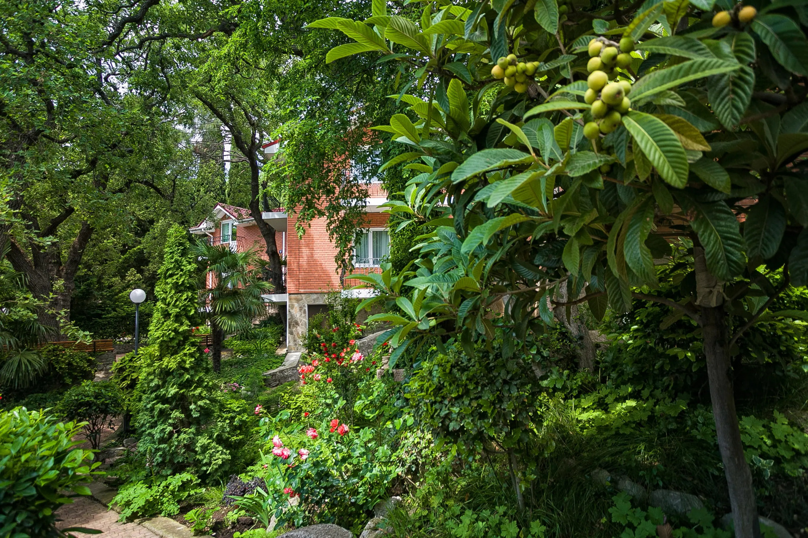 Парк-Отель Родос