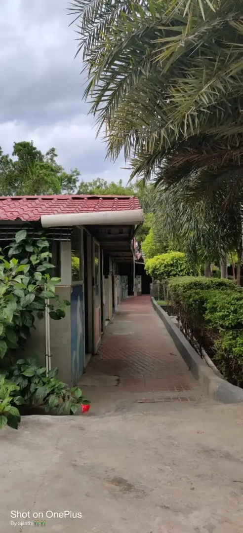 Курортный отель Star