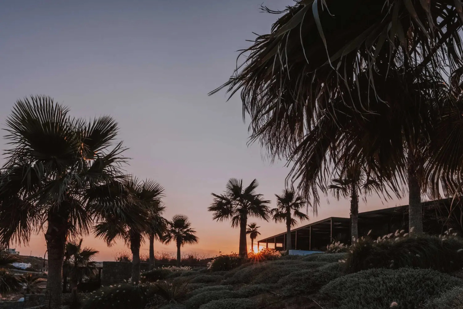 Отель Ftelia Black Villas