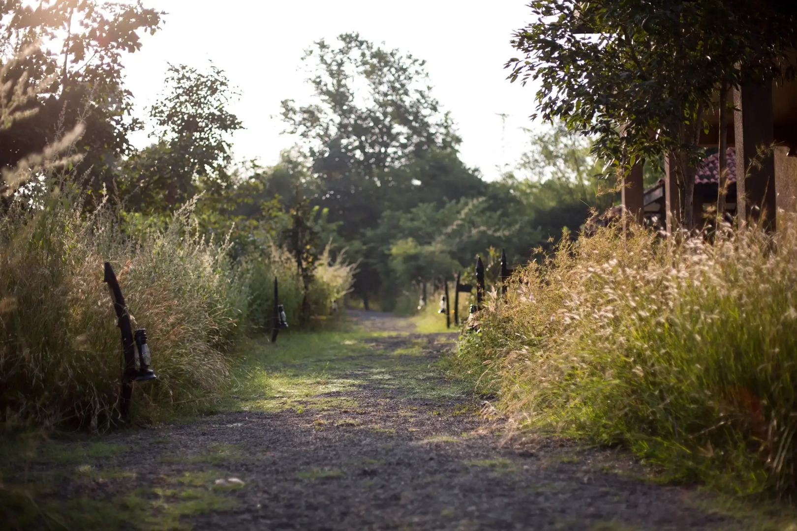 Жилое помещение Pugdundee Safaris-king lodge