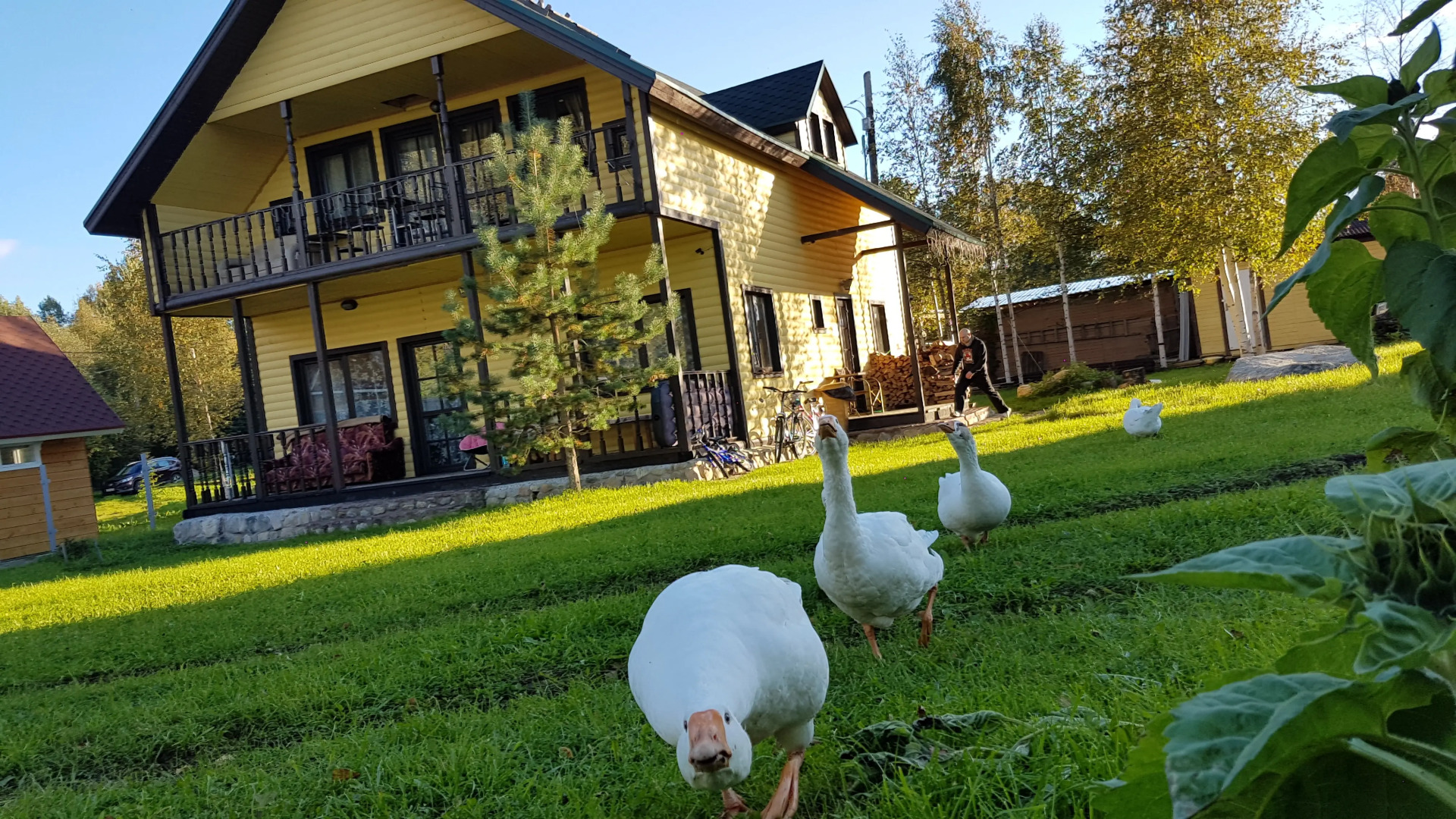 База Отдыха Святое Озеро