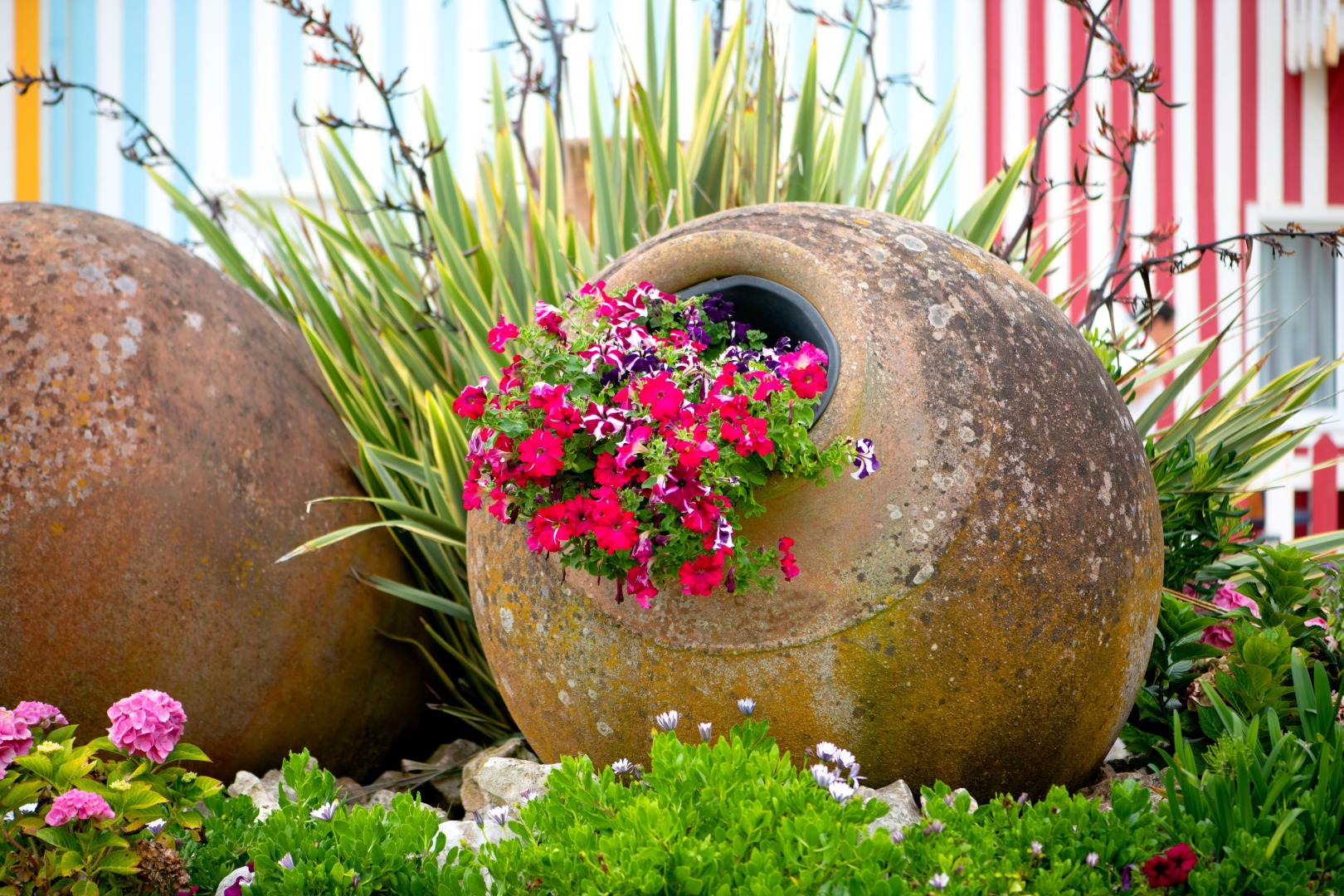 Отель Cristal Praia Resort & Spa