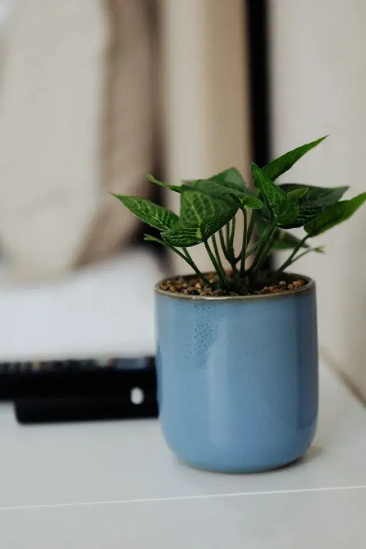 Квартира на Взлётной 81