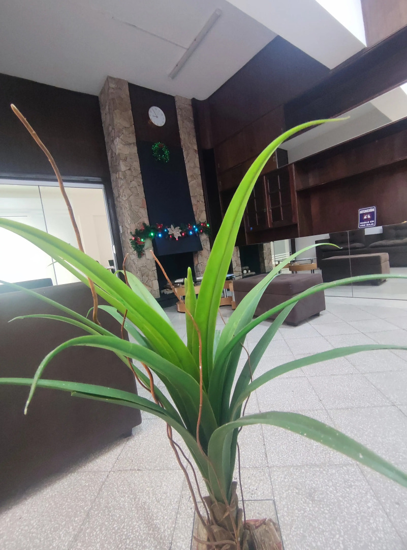 Хостел Cuba Linda Ekonom-Khostel Kapsuly