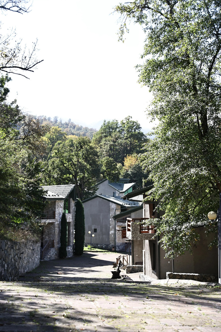 Курортный отель Dilijan Park Resort and Villas
