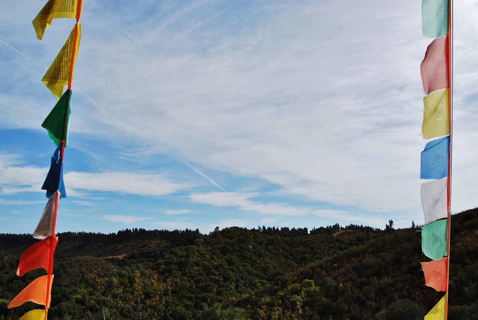 Гостевой Дом Buddha Peaceful Oasis