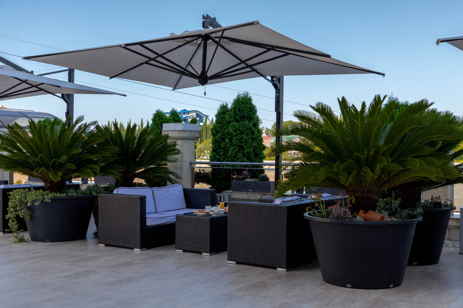 Отель Цитрус