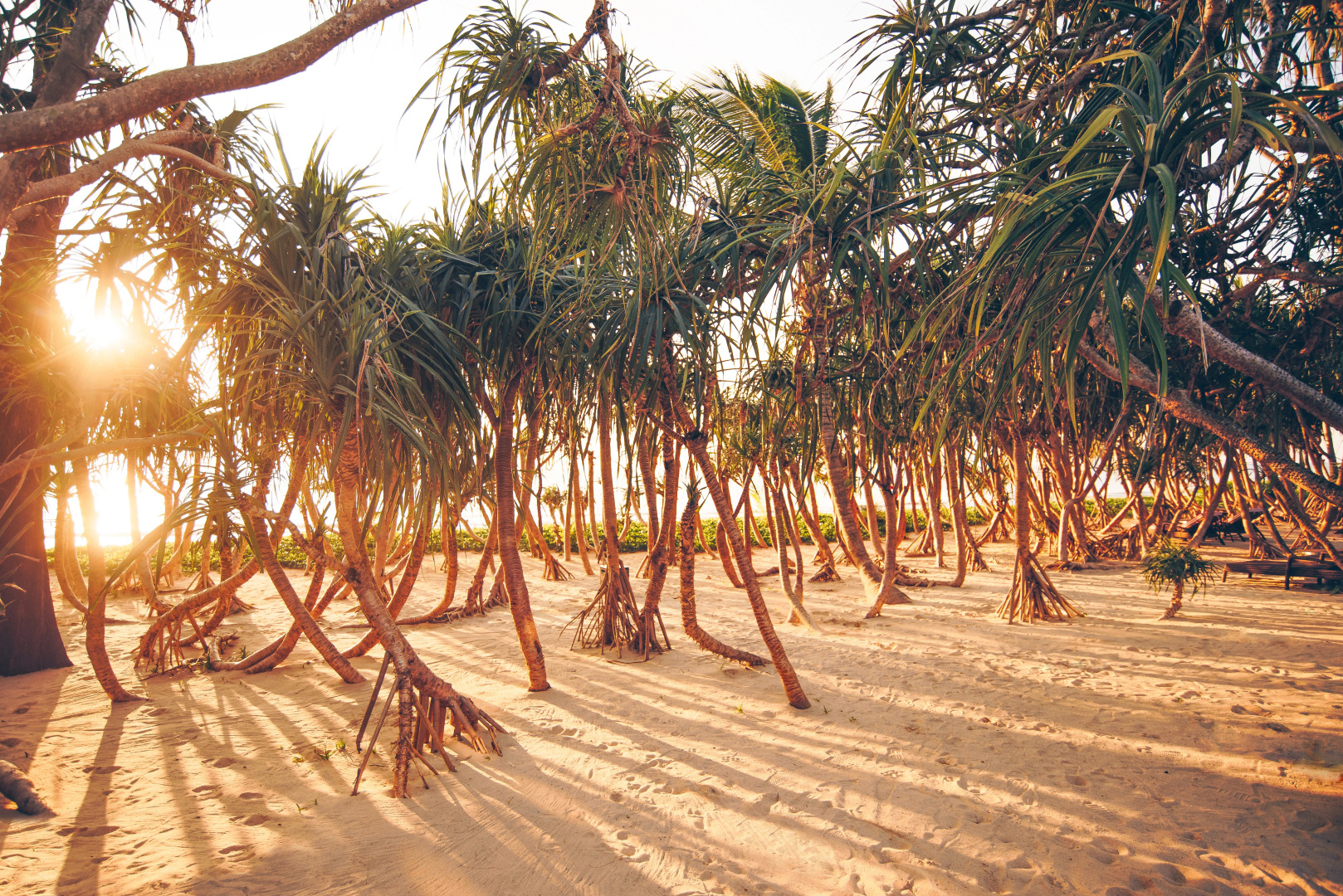 Отель Baba Beach Club Natai