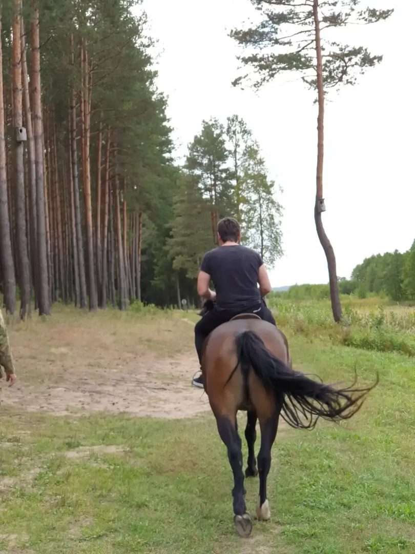 База отдыха Усадьба Медвежья Завала