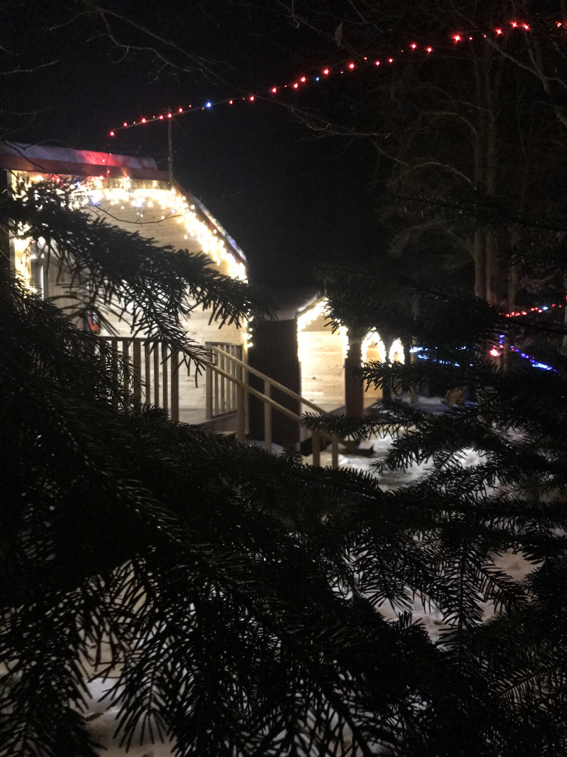 База отдыха Forest house resort