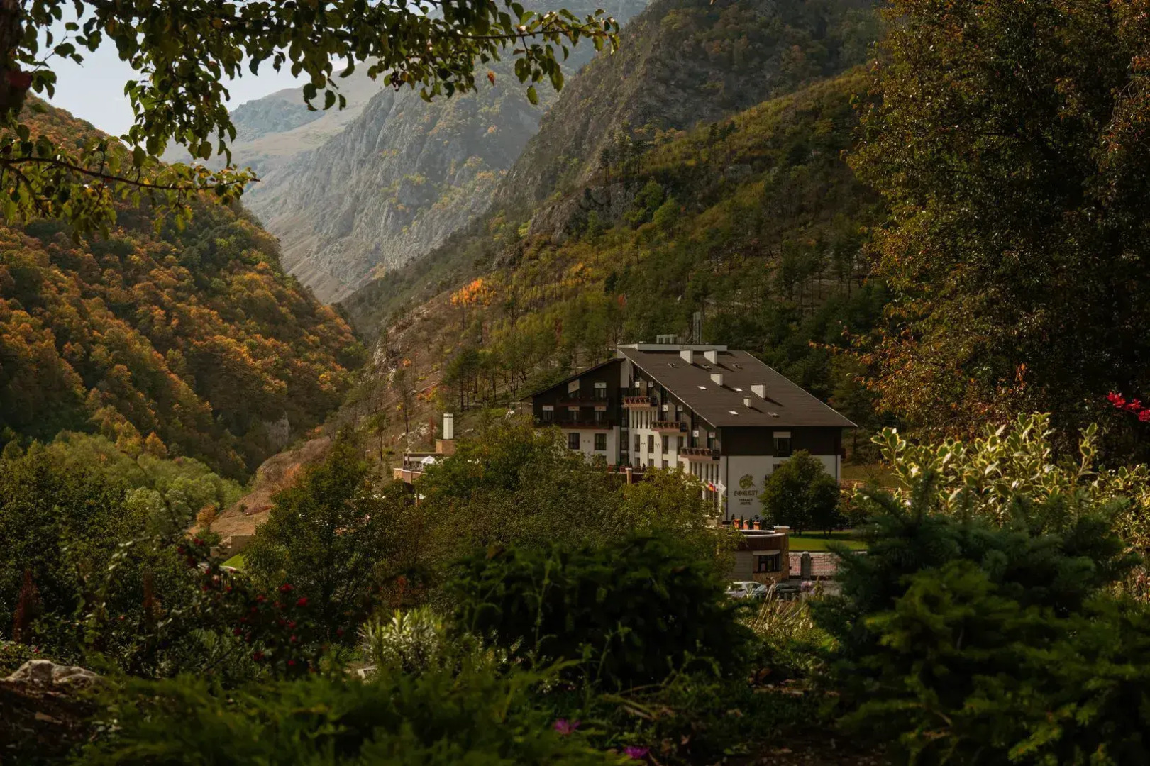 Отель Forrest Terrace