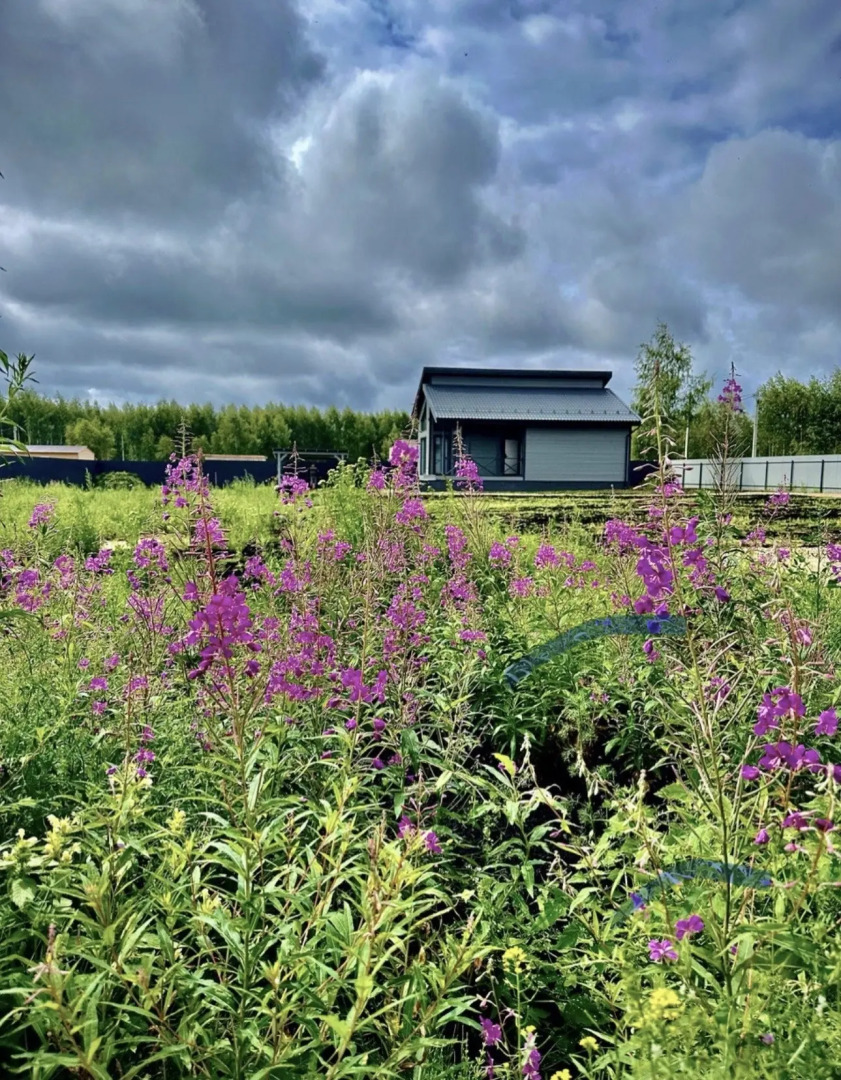 Гостевой Дом Afanasоvо Grееn Hоuse