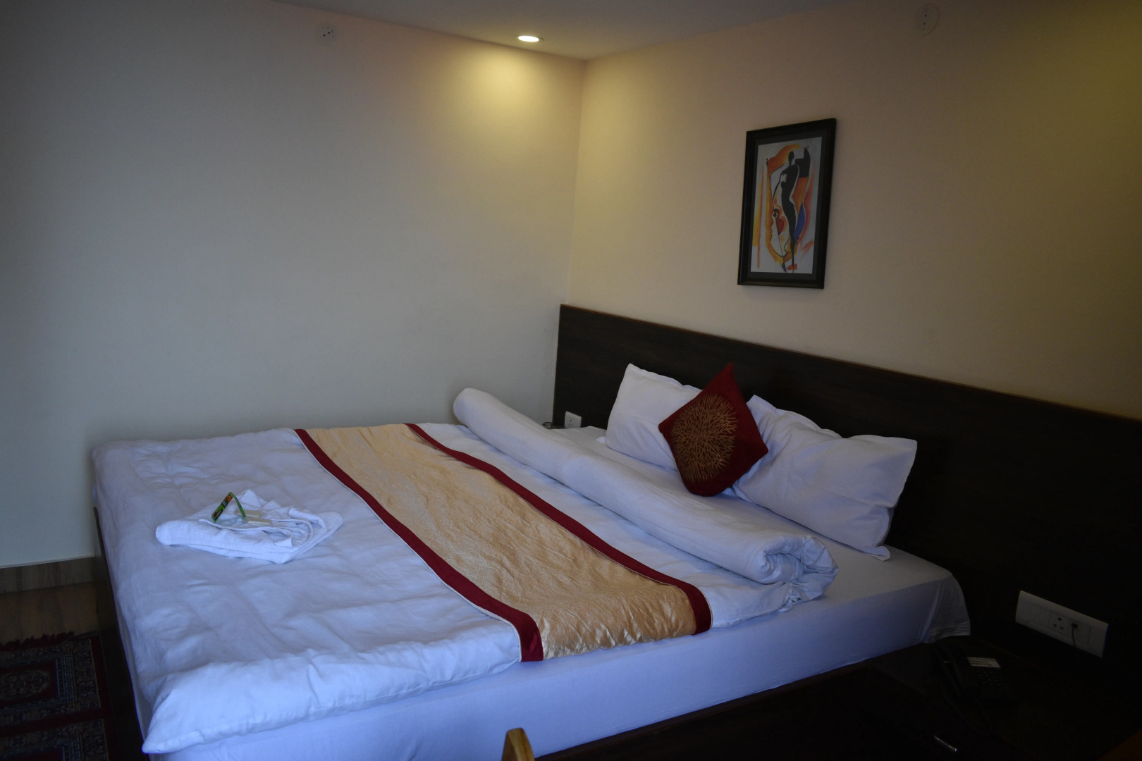 Отель The Narayani Continental