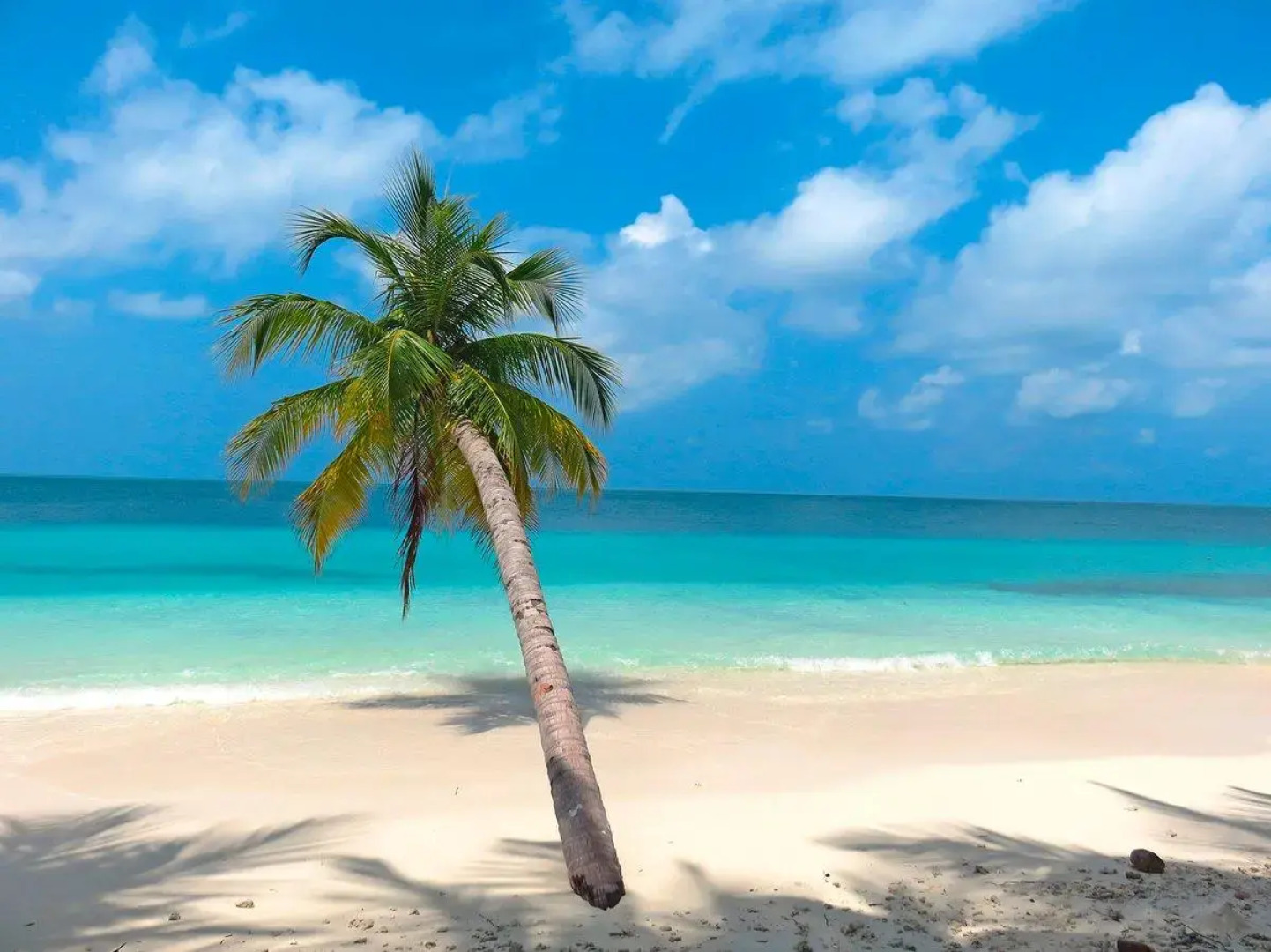 Курортный Отель Fiyavalhu Resort Maldives