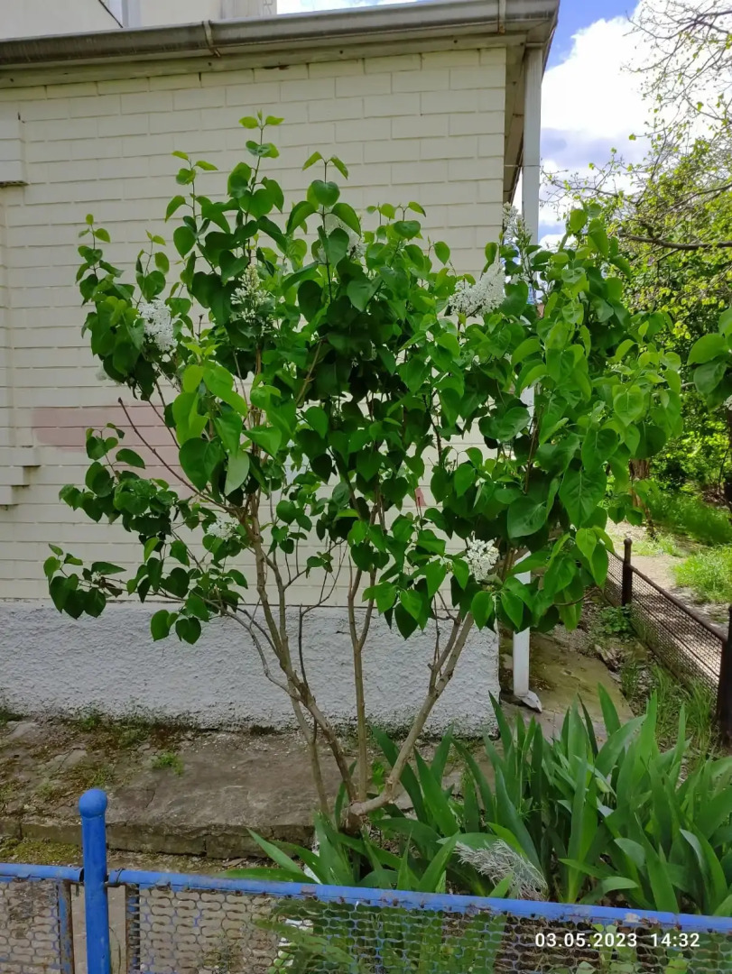 Квартира Уютные