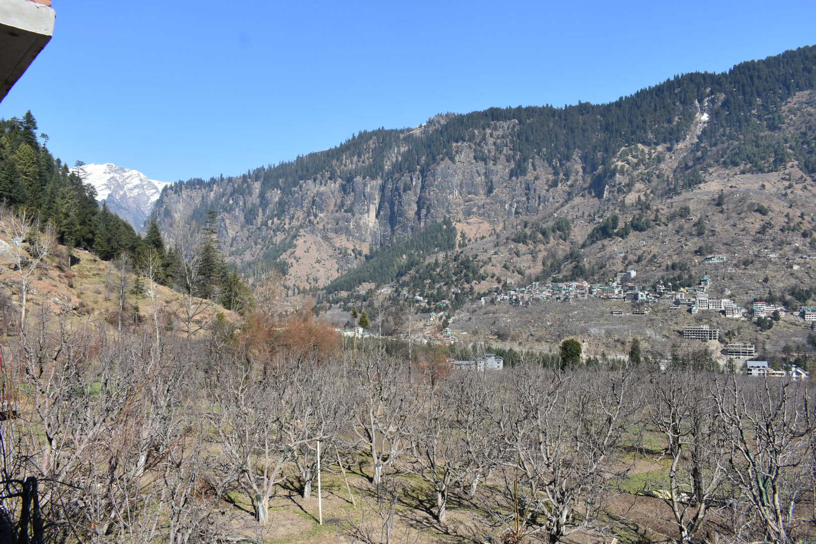 Апартаменты Nishant