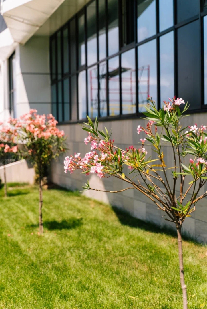 Квартира в ЖК Сочи Парк