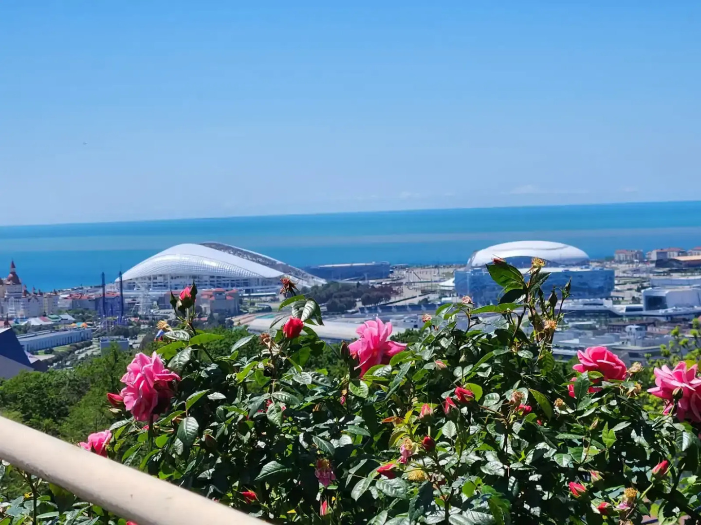 Апартаменты в Сириусе с видом на море и Олимпийский парк