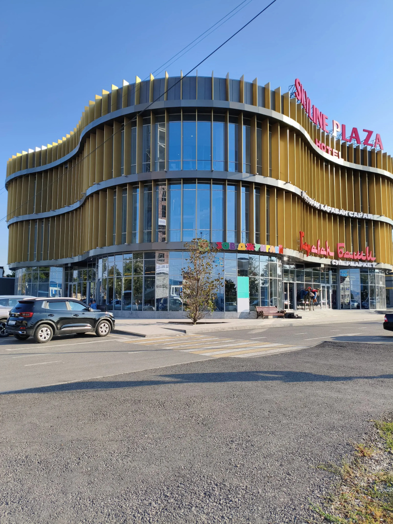 Отель Skyline Plaza
