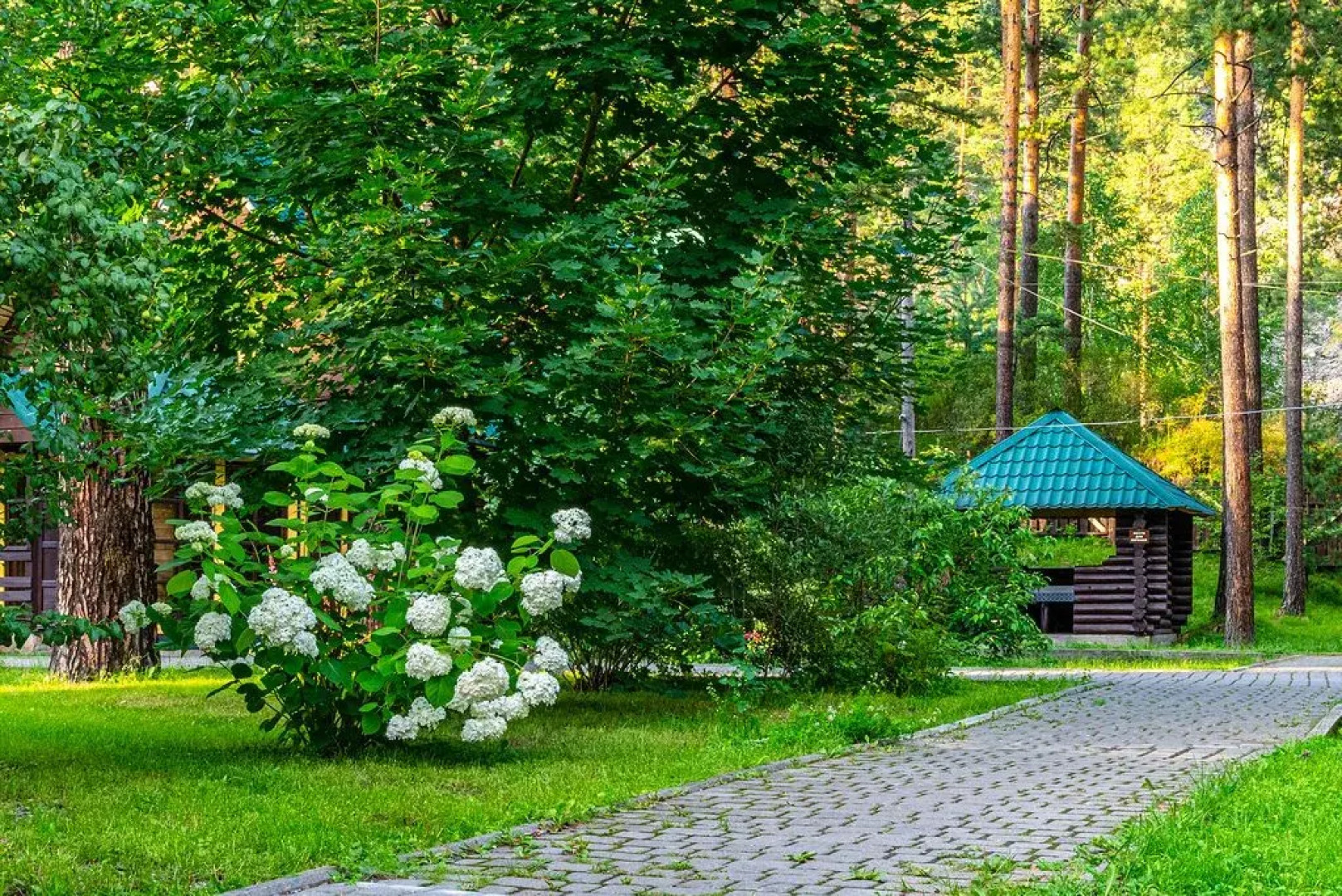 Гостевой дом Кедровый Остров (Чемал)