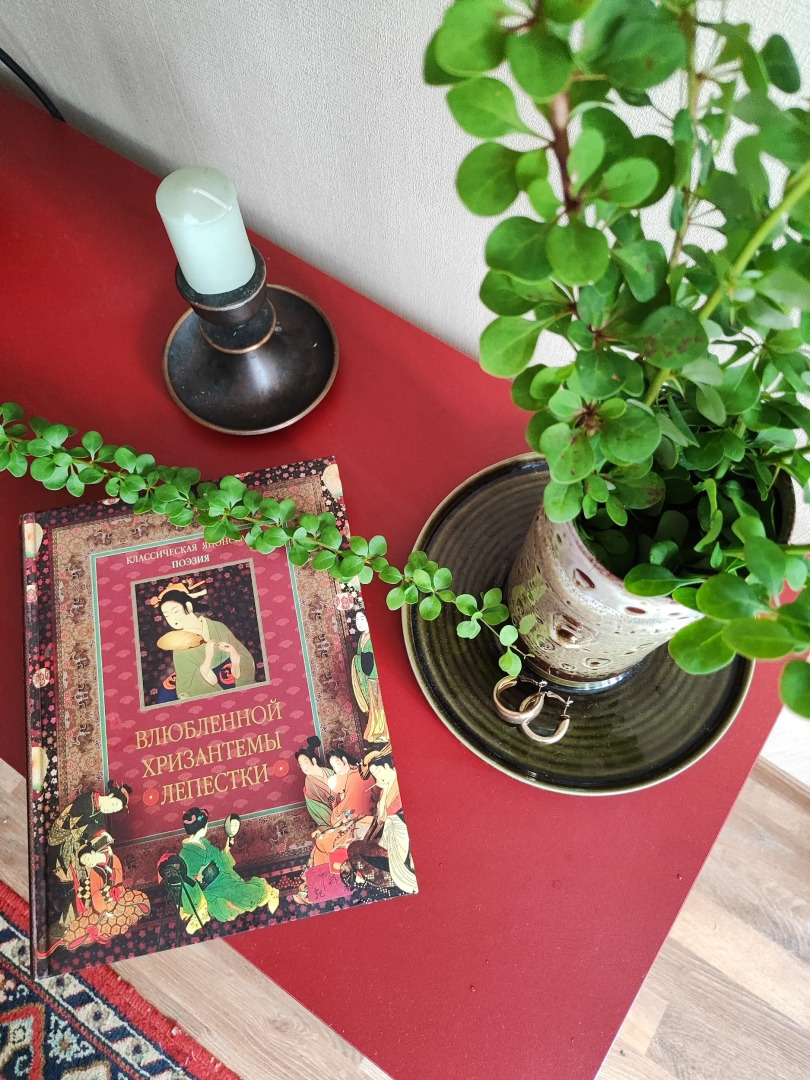 Апартаменты у Луизы