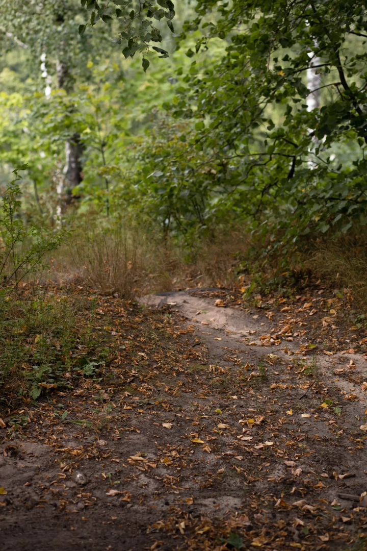 База отдыха Загородный Клуб Кривоборье