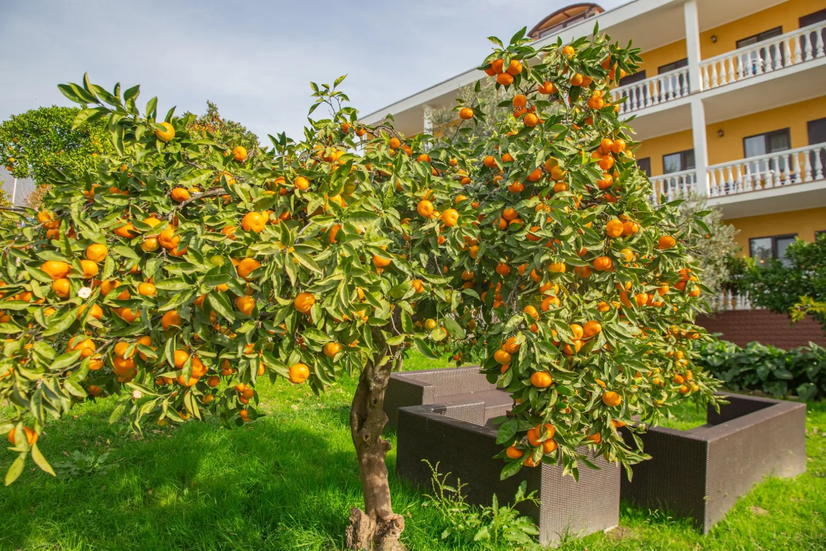 Мини-отель Мэри