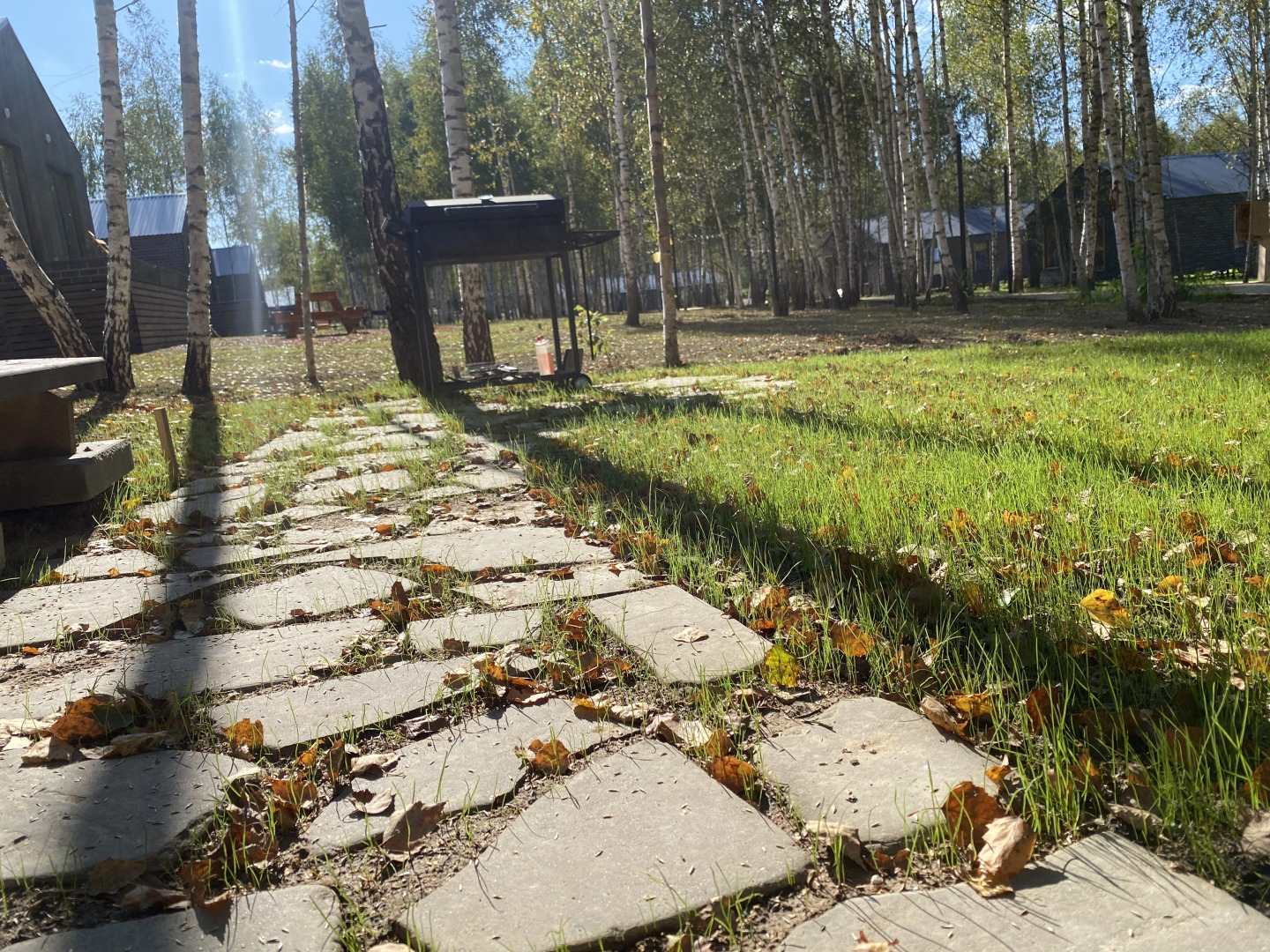 Гостевой дом в Грин Лаундж в окружении леса на берегу Истры