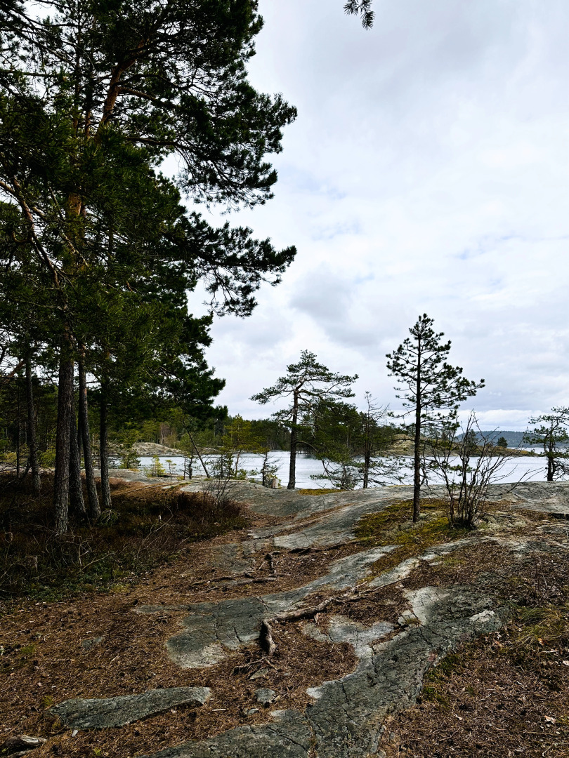 Глэмпинг Lago Ladoga