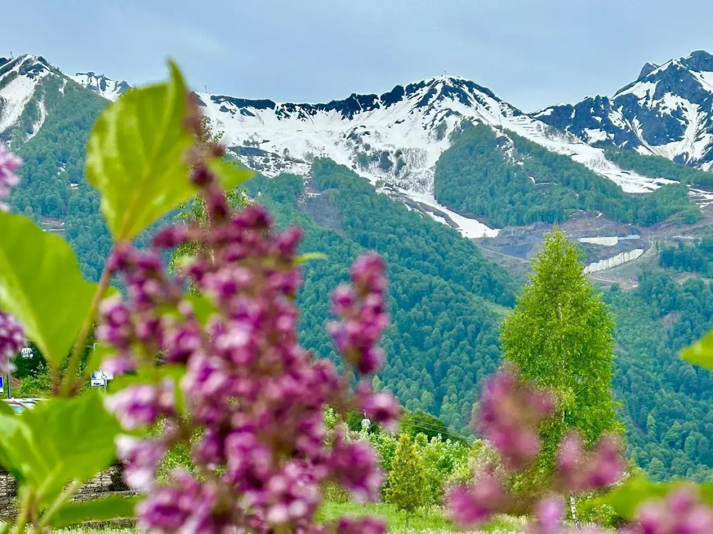 Апартаменты 2-х комнатные ГОРЫ рядом с казино