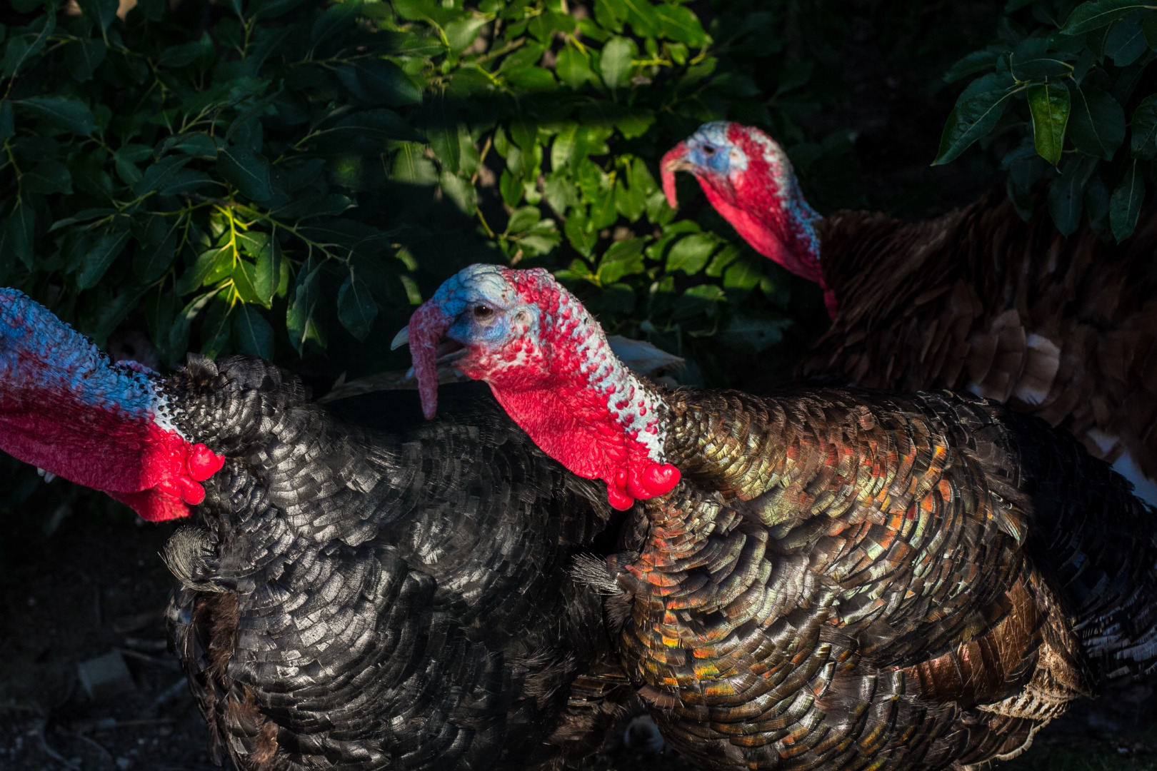 База отдыха Яркое