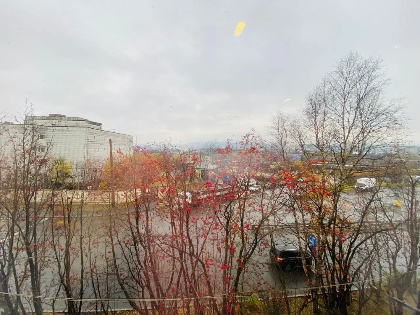 Апартаменты 2-х Комнатная Квартира в Центре Города на Карла Либкнехта 44