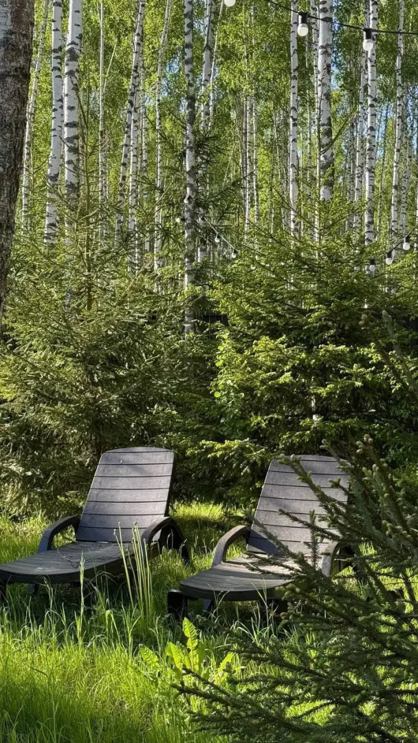 Частный Дом Панорамный В Лесу С Сауной И Чаном