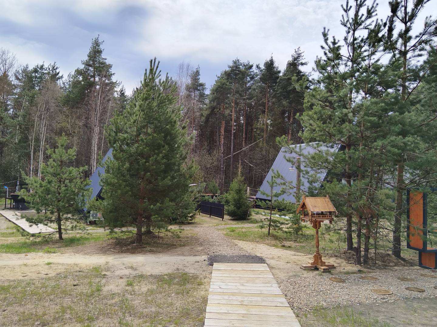 Глэмпинг А в лесу