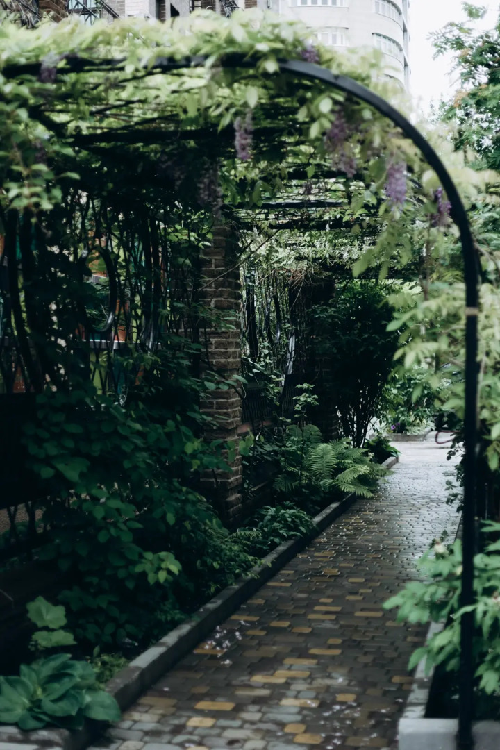 Отель Customs House Hotel & SPA